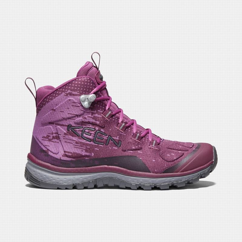 Keen Terradora Evo Mid Womens Hiking Boots Purple Discount (7039-UDTVG)